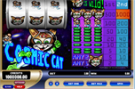 Cosmic Cat fruitkast
